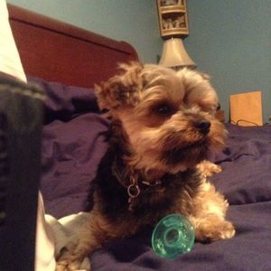 Meet your Posher, Lisa